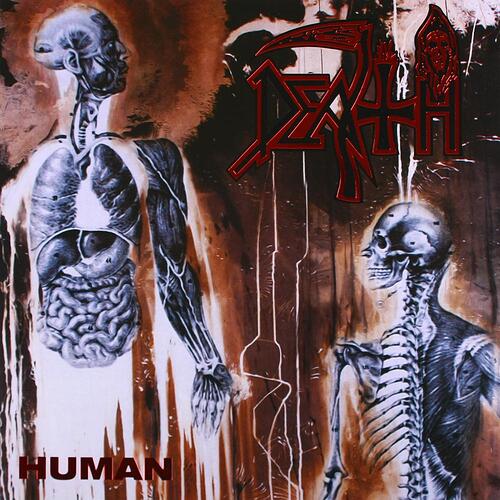 Human