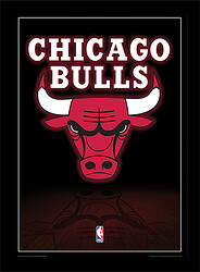 nba-chicago-bulls-logo-i16019