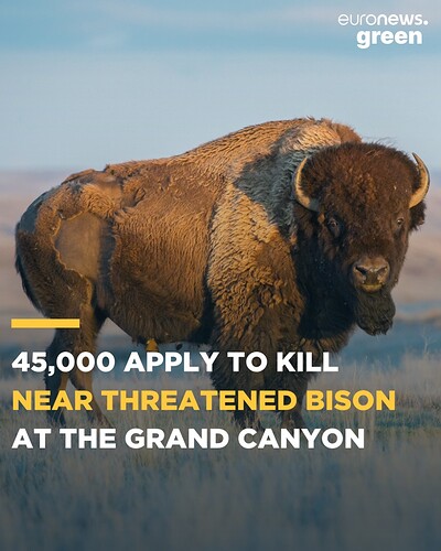 183124543_4072271619477947_2349186894413192841_n