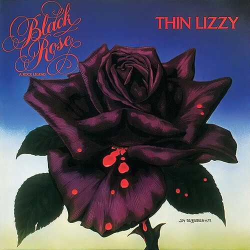 Thin LIzzy Black Rose