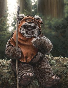 b453480a847ccf074681ea27e3fa5ae5--star-wars-ewok-star-wars-art