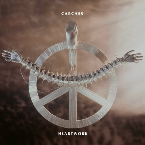 5. carcass